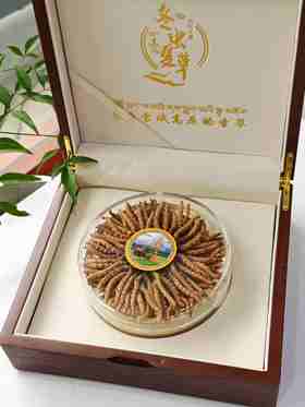 青海玉树 一级虫草礼盒（100根/盒）