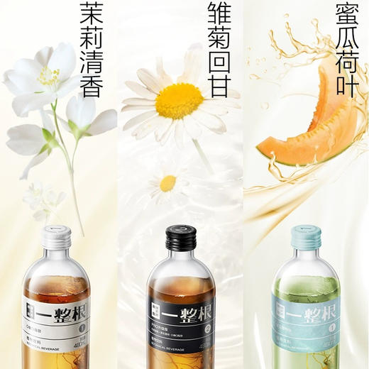 硬核研究所一整根植物饮料1号蜜瓜荷叶480ml 商品图2