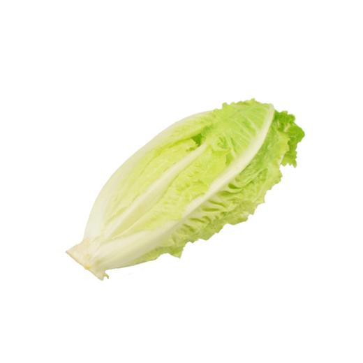 罗马生菜约250~300g/份 商品图0