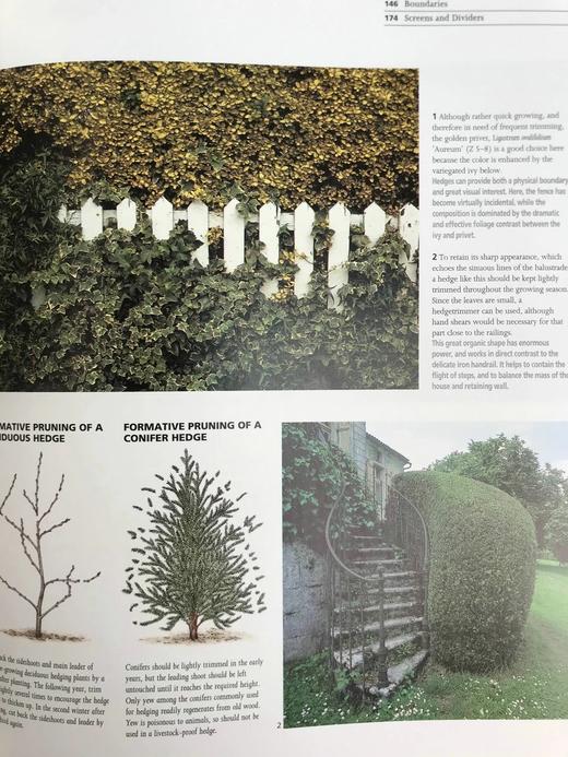 北美终极园林之书 数百幅彩色插图 精装16开 商品图10