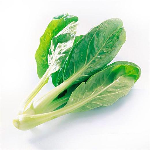 小油菜约0.2~0.3kg/份 商品图0