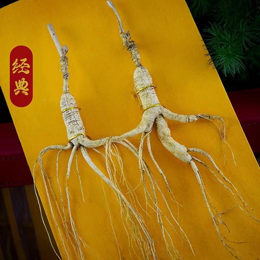 【长白山人参】野山参礼盒装  8g/15g/盒 商品图1