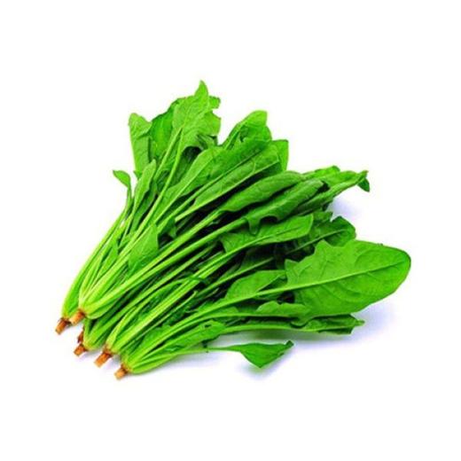 菠菜约0.45~0.5kg/份 商品图0