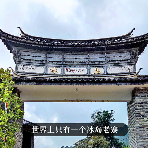 【铜盒冰岛老寨】2015年头春头采茶农珍藏稀缺优质古树资源临沧冰岛老寨普洱茶生茶357g/饼 商品图9