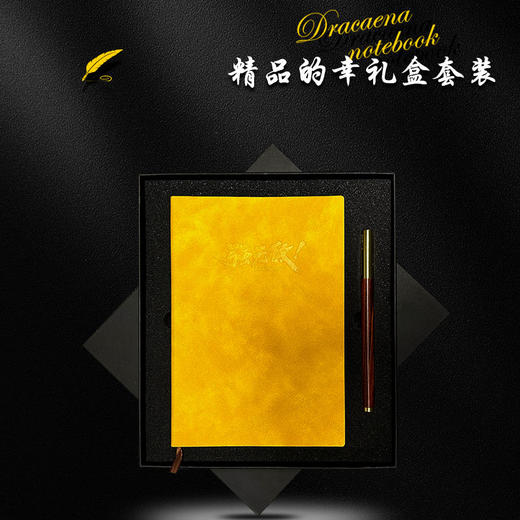 的幸笔记本礼盒套装商务A5记事本子会议记录本加厚学生奖品公司学校礼品笔本套装 商品图1