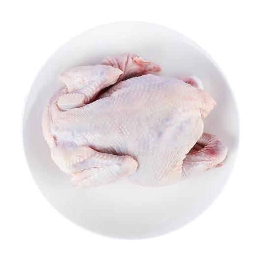 直腿三黄土鸡（整只）约1.1-1.2kg/只 商品图0