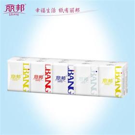 丽邦手帕纸4层10包装