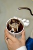 fishtank鱼缸咖啡 深烘焙挂耳咖啡20片装 3种口味可选 商品缩略图5