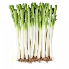 大葱约1.4~1.6kg/份