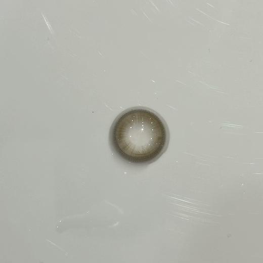 Cherrybee旗下 |清补凉&金凤梨 14.2mm白狮参考着色中等直径 | 半年抛 商品图8