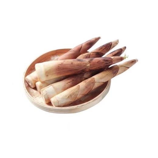 鲜春笋约690~710g/份 商品图0