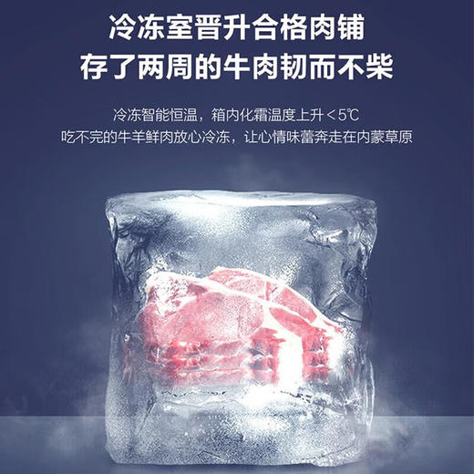 海尔（Haier）461升 全空间保鲜 一级双变频节能 变温超薄 法式多门 零嵌入 智能wifi EPP超净系统 BCD-461WGHFD14WYU1 商品图5