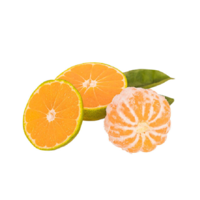 叶桔约1.4~1.6kg/份