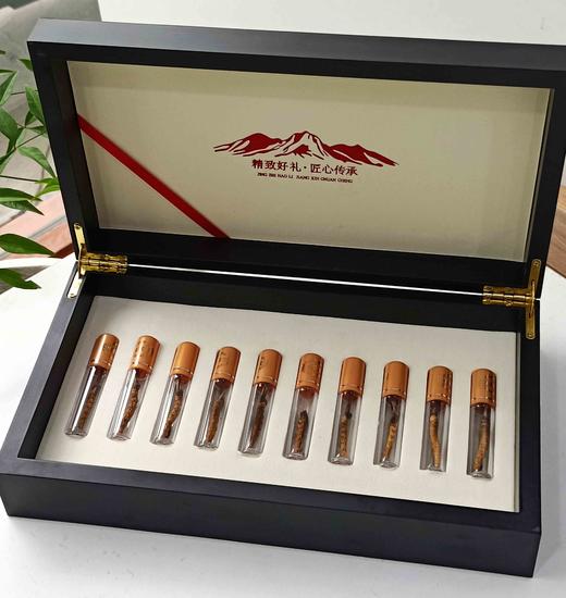 青海玉树 一级虫草礼盒（10根/盒） 商品图0