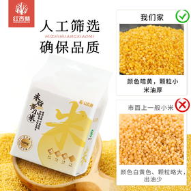 【米脂黄小米】 米油厚，养护脾宝宝 老少皆宜1000g