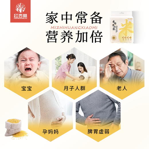 【米脂黄小米】 米油厚，养护脾宝宝 老少皆宜1000g 商品图2