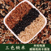 河谷上方 三色糙米组合2.5kg 黑米糙米红米 商品缩略图0