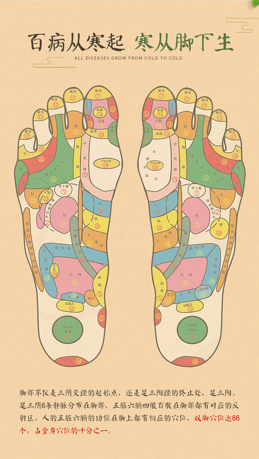 『活动：拍5立减70元』陀太医艾足贴30片/盒；五年陈艾精心研制凝聚萃取植物精华寒从脚起人老足先衰日常保养从脚开始 商品图5