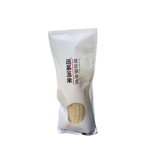 黑龙江北纬47度玉米 袋装玉米一根约170g 商品图1
