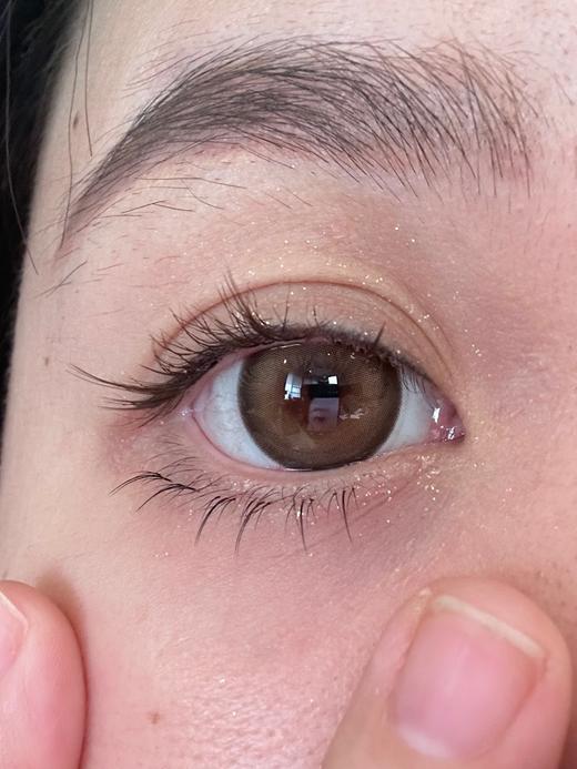 papadox半年抛美瞳 核桃马里奥 14.5mm 商品图2