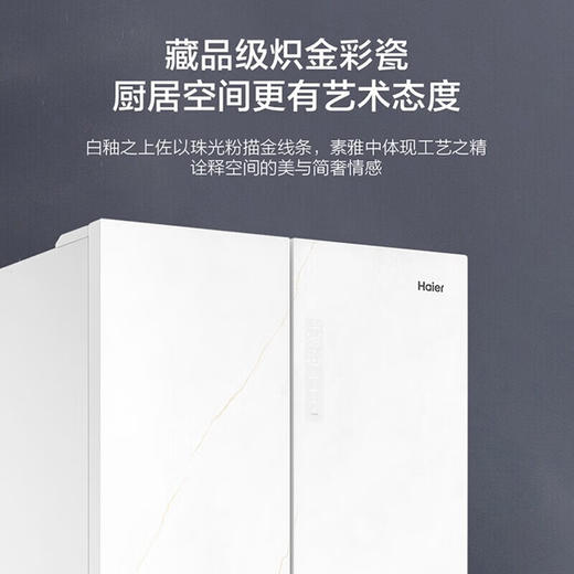 海尔（Haier）461升 全空间保鲜 一级双变频节能 变温超薄 法式多门 零嵌入 智能wifi EPP超净系统 BCD-461WGHFD14WYU1 商品图2