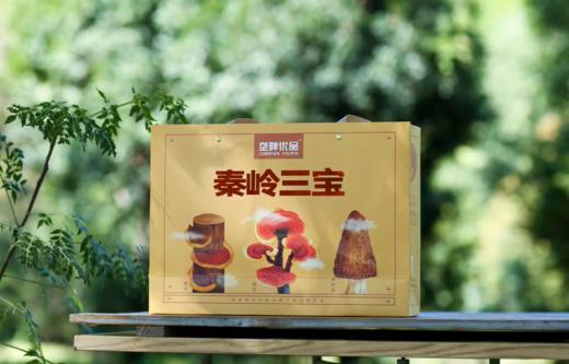 垄畔优品秦岭三宝 商品图3