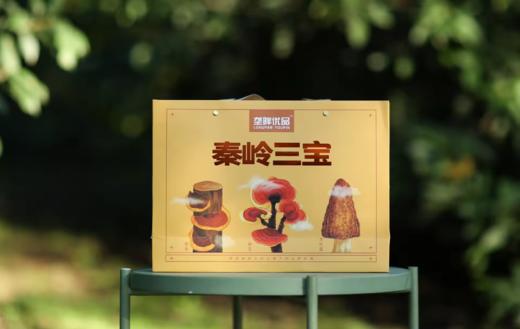 垄畔优品秦岭三宝 商品图6