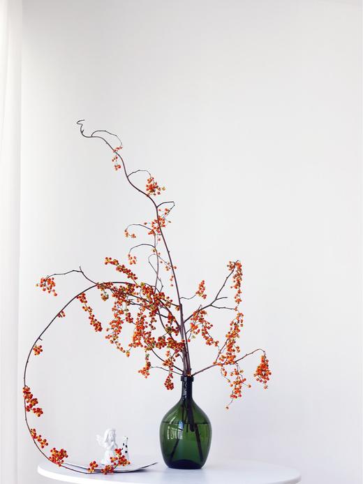 国产南蛇藤【一切都会好起来的】简小姐精选极具空间感 ins风花材 南蛇藤1束 中通包邮 商品图3