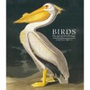 鸟类 鸟类学的艺术 手绘艺术画集口袋版本 Jonathan Elphick 英文原版 Birds: The Art of Ornithology 商品缩略图0