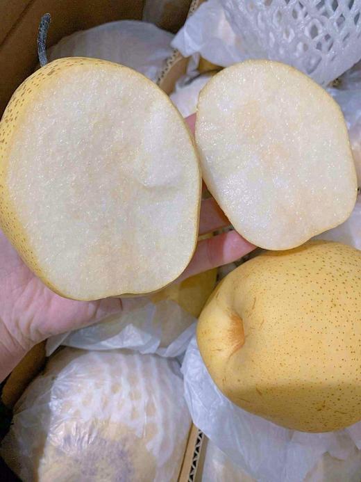 雪花梨 5斤 商品图2