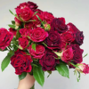多头玫瑰 紫罗兰 10支/扎  红色玫瑰 云南基地发货 （价格已包含包装费用） 运费以实际为准，多退少补。 商品缩略图1