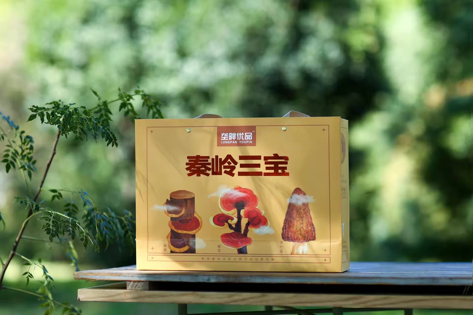 垄畔优品秦岭三宝