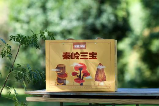 垄畔优品秦岭三宝 商品图0