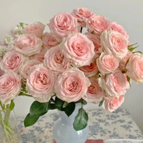 多头玫瑰 星悦宝贝 10支/扎  粉色玫瑰 云南基地发货 （价格已包含包装费用） 运费以实际为准，多退少补。