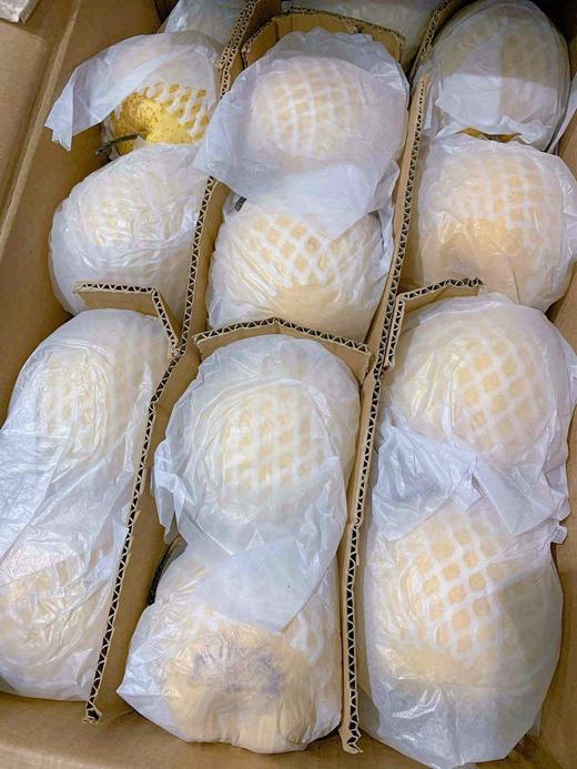 雪花梨 5斤 商品图3