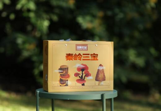 垄畔优品秦岭三宝 商品图5