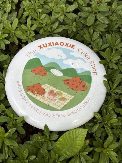 手绘飞盘 商品图0