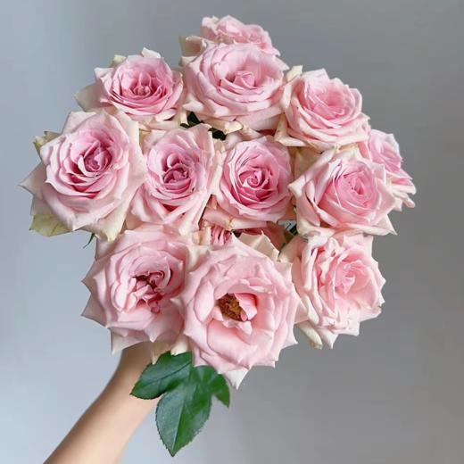 多头玫瑰 星悦宝贝 10支/扎  粉色玫瑰 云南基地发货 （价格已包含包装费用） 运费以实际为准，多退少补。 商品图1
