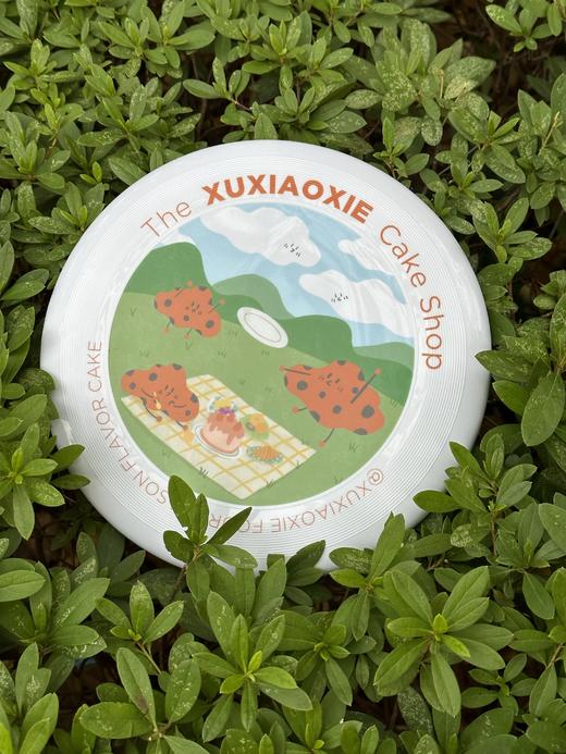 手绘飞盘 商品图1