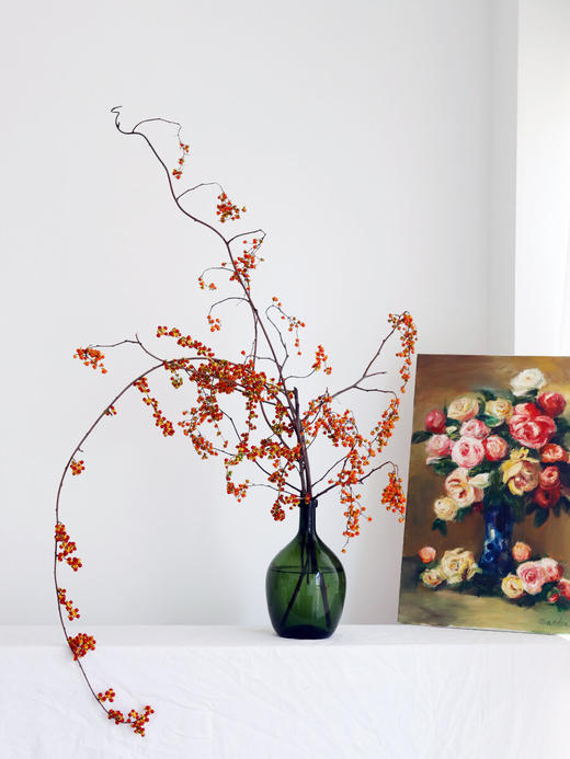 国产南蛇藤【一切都会好起来的】简小姐精选极具空间感 ins风花材 南蛇藤1束 中通包邮 商品图2