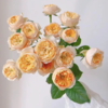 多头玫瑰 黄蝴蝶 10支/扎  黄色玫瑰 云南基地发货 （价格已包含包装费用） 运费以实际为准，多退少补。 商品缩略图1