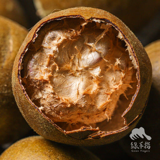 生态罗汉果 | 合作生产 * Ecological Siraitia grosvenorii | Coproduction 商品图1