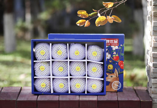 垄畔优品瑞阳瑞雪苹果 商品图3