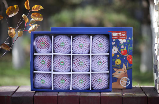 垄畔优品瑞阳瑞雪苹果 商品图7