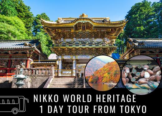 东京出发日光世界遗产一日游 【需二次确认】B-0002 商品图0