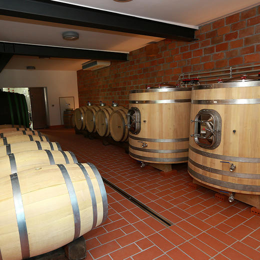 诗黛雅马克干白葡萄酒（2015） 商品图12