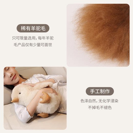 INJOI 企鹅玩偶 商品图2