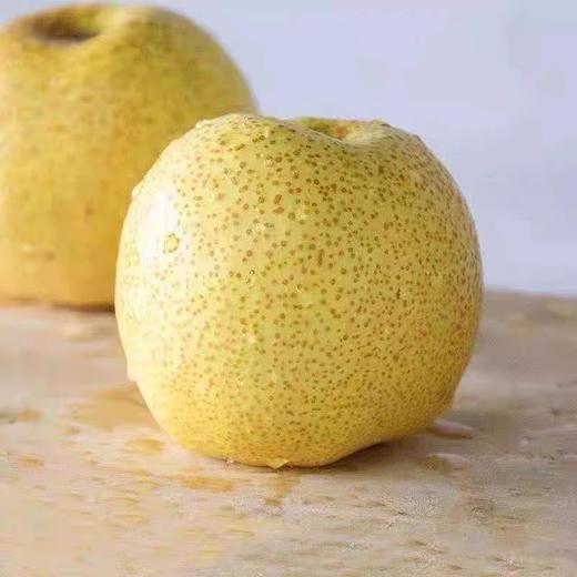 新鲜水果 砀山梨5斤 商品图3