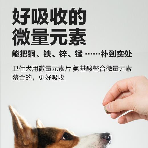 「狗狗异食克星」卫仕 犬微量元素片400片 商品图2