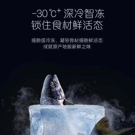 卡萨帝（Casarte）冰箱BCD-633WLCFDA4A5U1 商品图5